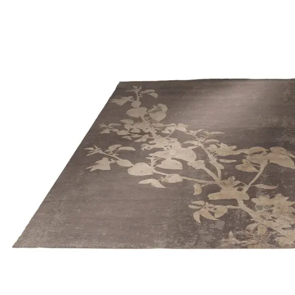 S186 AUTUNNO 2 600x600