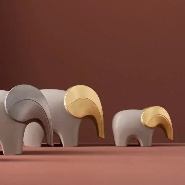 BRA BICOLOR 2 600x600